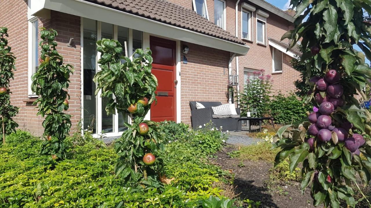 좌츠루이스 Logeren Bij Grea B&B 외부 사진
